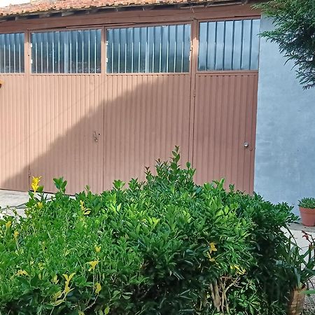 Casa Da Vovo Ceu - Casa De Campo Gandaresa - Country House, Entre Coimbra E Aveiro, A 15 Minutos Carro Praia Mira - Quintal Com Piscina Insuflavel Cantanhede Εξωτερικό φωτογραφία